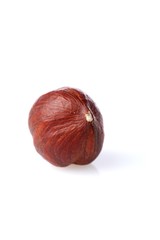 Huzelnits on white background - close-up