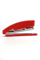 Stapler on white background
