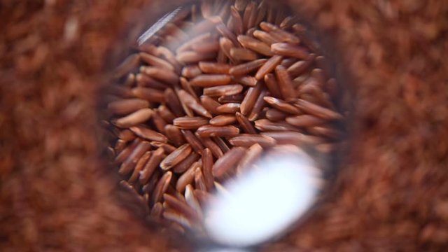 Raw organic rice berry, brown rice mixed texture on rotating background. Food ingredient concept. Top view, healthy lifestyle