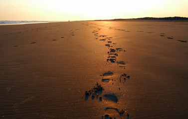 夕焼けの砂浜につづく足跡