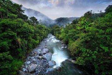 Fototapeten River with big stones and trees, tropic mountain forest during rain, Colombia landscape. Tropic forest in South America. © ondrejprosicky