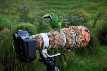 Fotobehang Camera met grote telelens en tropische vogel. Kleine toekan zittend op de fotografische apparatuur in de natuurhabitat. Fotografiereis in Colombia, vogels kijken in het tropische bos, Toucanet. © ondrejprosicky