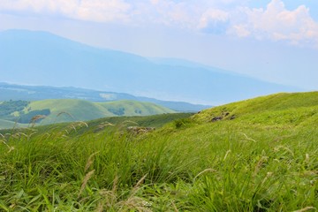 Obraz premium 【日本】長野ビーナスライン