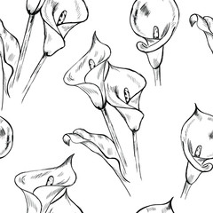 hand drawn vector illustration. Calla lilies flowers, botanical seamless pattern on white background . Concept for print, wallpaper, wrapping paper 