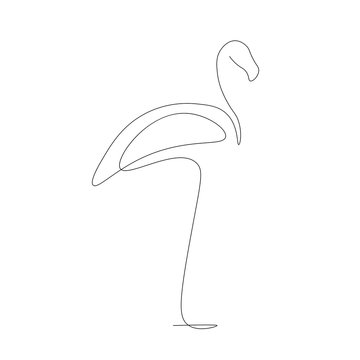 Flamingo Bird Line Drawing Vector Illustration