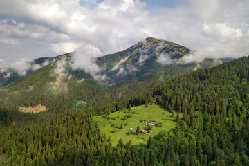 Foto op Canvas Aerial view of green Carpathian mountains covered with evergreen spruce pine foreston summer sunny day. © bilanol