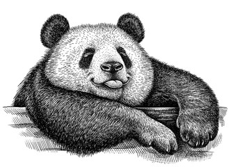 black and white engrave isolated panda illustration © Turaev