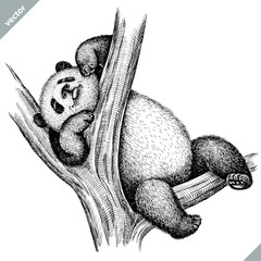 black and white engrave isolated panda vector illustration © Turaev
