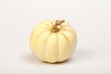 pumpkin on white background