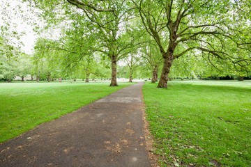 Fototapeta na wymiar View of walkway and trees in park