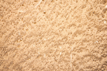 Background dotted grainy texture. Hard old painted wall in grunge style. Surface for design and text. Close up view