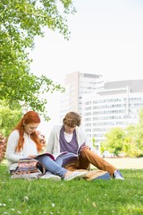 Full length of young male and female friends studying at college campus