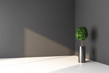 Interior room with empty wall