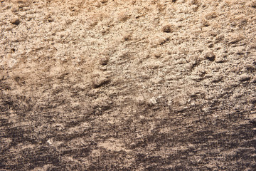 Background dotted grainy texture. Hard old painted wall in grunge style. Surface for design and text. Close up view