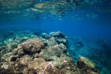 Fototapeta na wymiar Underwater scene with stone bottom. Tropical transparent ocean