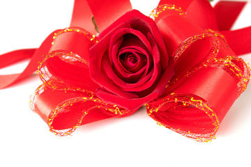 red rose and bow isolated on white background