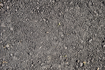 Background texture of asphalt. Hard old painted wall in grunge style. Grey surface for design and text. Close up view