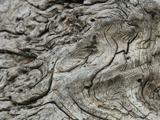 textures bois/metal/pierre/ ancien