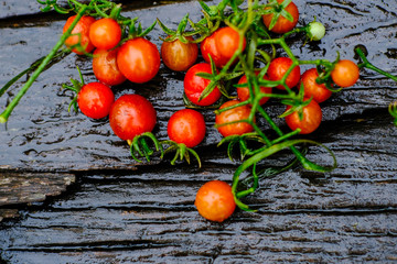 Fresh red tomato with water drop on wood table selective focus