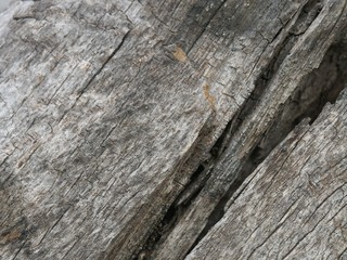 textures bois/metal/pierre/ ancien