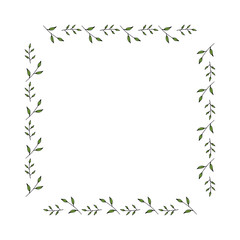 Square frame made of different green branches. Vector on white for your design