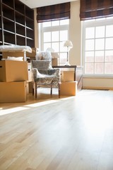 Cardboard boxes and furniture in new home