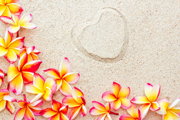 Group of fresh pink and yellow frangipani or plumeria flowers on sand with heart print