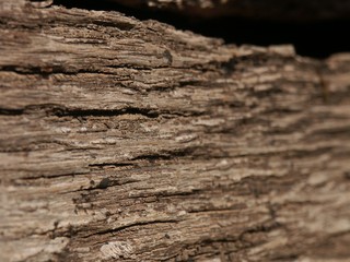 textures bois/metal/pierre/ ancien