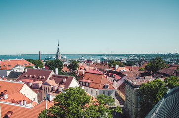 Obraz premium Tallinn Estland Altstadt Urlaub Juni 2019 