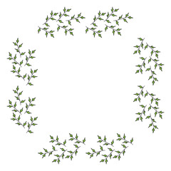 Square frame made of beautiful green branches. Vector on white for your design
