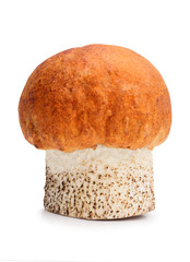 aspen bolete isolate on white, with clipping path