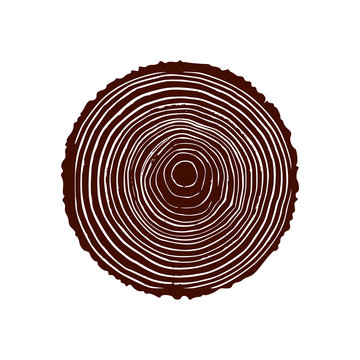 Tree trunk with rings. Annual tree growth rings. vector illustration isolated on white background.