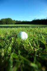 Golf ball