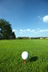 Golf ball