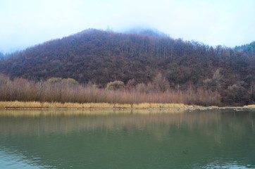 Mountain river water landscape. Wild river in mountains