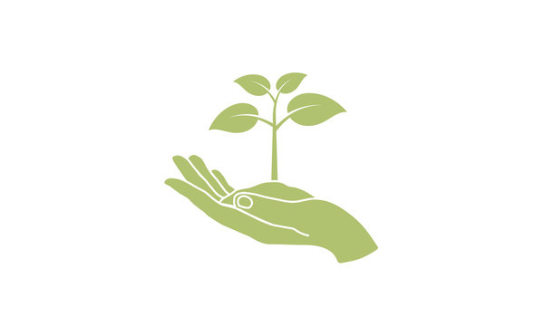Hand holding young plant. Eco concept - plant with ground in hands. Environment related. Save planet nature environment. Vector illustration