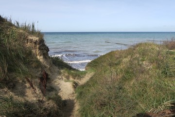 Aussicht zwischen Dünen bei Wustrow auf die Ostsee (Mecklenburg-Vorpommern)