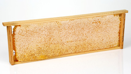 honeycomb frame on a white background
