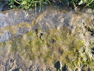 Luftblasen unter Eisschicht - Bubbles unter ice