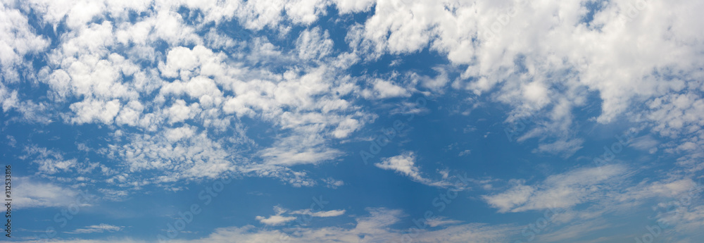 Wall mural panorama image of a cloud sky for background nature. pattern cloud in the daytime during summer is a