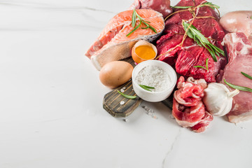 Carnivore protein diet background