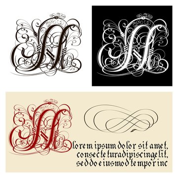 Decorative Gothic Letter N. Uncial Fraktur calligraphy.