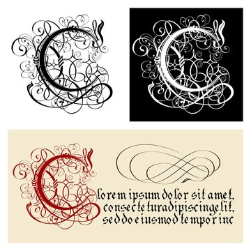 Decorative Gothic Letter C. Uncial Fraktur calligraphy.