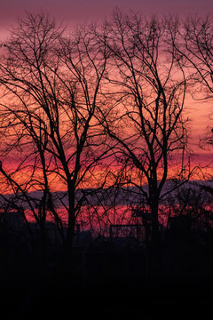 Winter Sunrise © Ivaylo