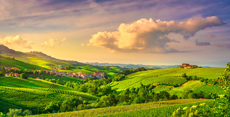 Langhe vineyards view, Barolo and La Morra, Piedmont, Italy Europe.