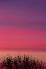 Fototapeta premium Winter Sunrise