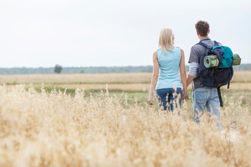 Rear view of young hiking couple walking through field