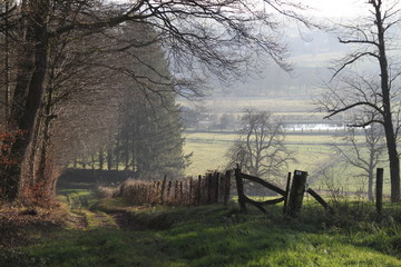 Tiny village in the wood mist