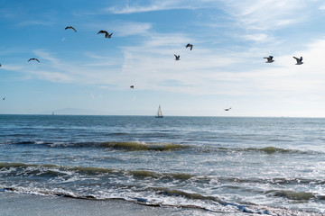 Boat on the water with seagulls above