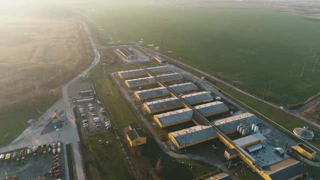 pig farm, top view, summer 2019